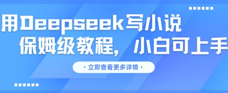 用Deepseek写小说，保姆级教程，小白可实操-观智斋电商课程站