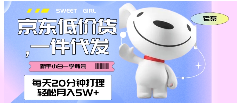 每天20分钟打理京东低价货，一件代发-轻松月入5W＋-观智斋电商课程站