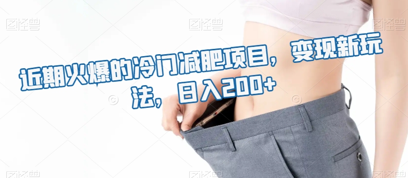 近期火爆的冷门减肥项目，变现新玩法，日入200+-观智斋电商课程站