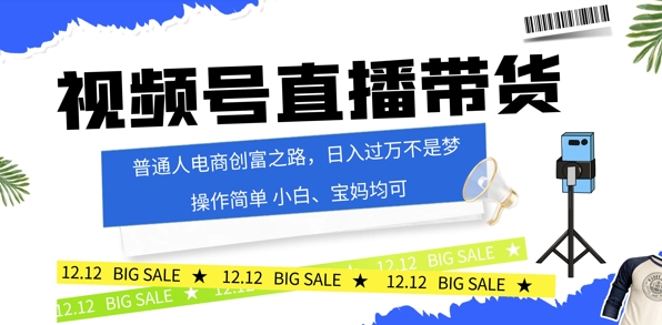 视频号读稿带货，普通人电商创富之路，小白、宝妈均可-观智斋电商课程站