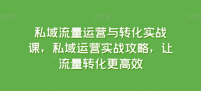 私域流量运营与转化实战课，私域运营实战攻略，让流量转化更高效-观智斋电商课程站