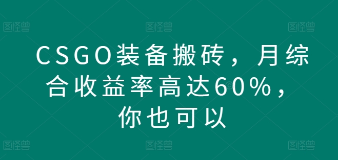 CSGO装备搬砖，月综合收益率高达60%，你也可以-观智斋电商课程站
