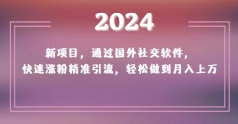 2024新项目，通过国外社交软件，快速涨粉精准引流，轻松做到月入上万【揭秘】-观智斋电商课程站