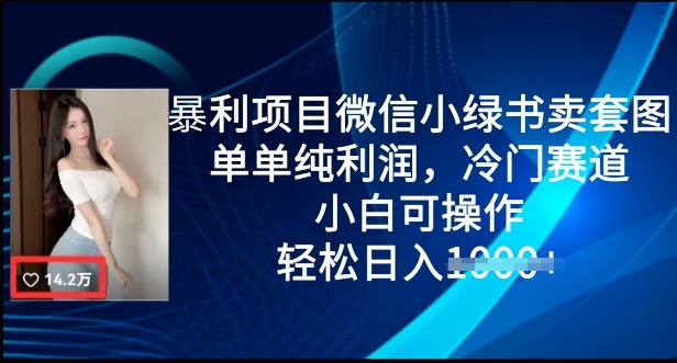 暴利项目微信小绿书卖套图，单单纯利润，冷门赛道， 小白可操作，轻松日入多张-观智斋电商课程站