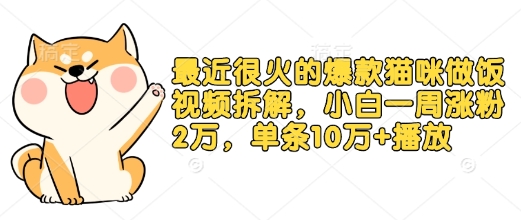 最近很火的爆款猫咪做饭视频拆解，小白一周涨粉2万，单条10万+播放(附保姆级教程)-观智斋电商课程站