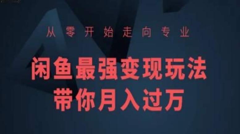 从零开始走向专业，闲鱼最强变现玩法带你月入过万-观智斋电商课程站