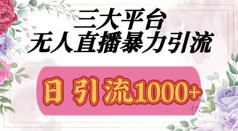 三大平台无人直播引流，吸引精准创业粉-观智斋电商课程站