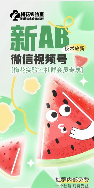 梅花实验室2024年AB技术视频号AB合成破解版-观智斋电商课程站
