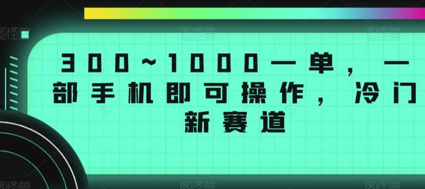 300~1000一单，一部手机即可操作，冷门新赛道-观智斋电商课程站