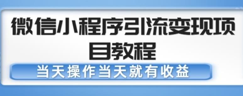 微信小程序引流变现项目教程，当天操作当天就有收益，变现不再是难事-观智斋电商课程站