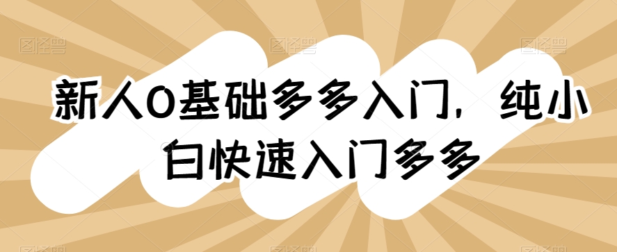 新人0基础多多入门，​纯小白快速入门多多-观智斋电商课程站