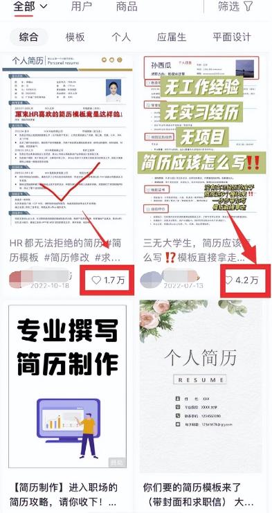 虚拟服务类项目，操作简单，日赚500+！-观智斋电商课程站