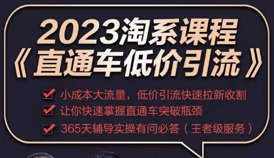 2023直通车低价引流玩法课程，小成本大流量，低价引流快速拉新收割，让你快速掌握直通车突破瓶颈-观智斋电商课程站