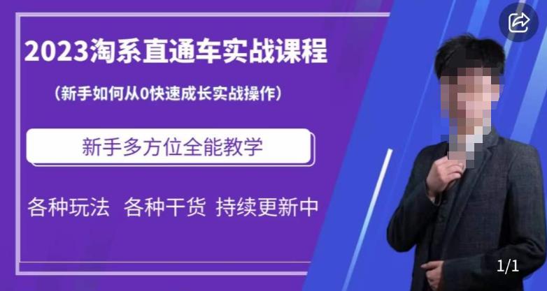 2023淘系直通车保姆式运营讲解，新手如何从0快速成长实战操作，新手多方位全能教学-观智斋电商课程站