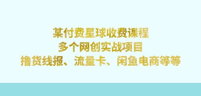 某付费星球课程：多个网创实战项目，撸货线报、流量卡、闲鱼电商等（文档非视频）-观智斋电商课程站