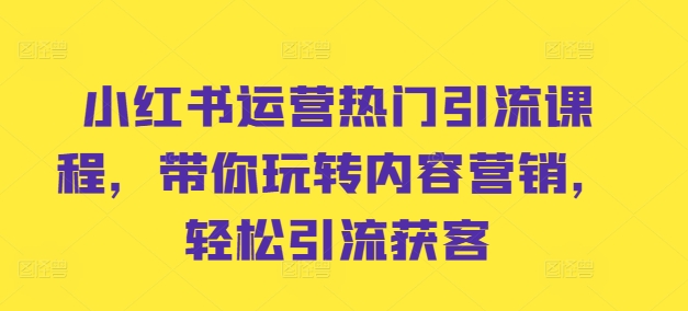 小红书运营热门引流课程，带你玩转内容营销，轻松引流获客-观智斋电商课程站