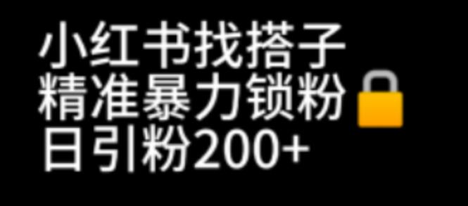小红书找搭子暴力精准锁粉+引流日引200+精准粉-观智斋电商课程站