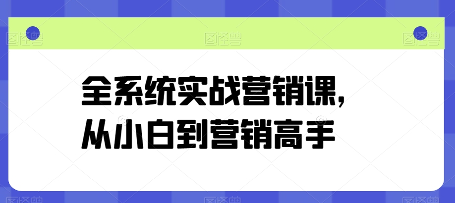 全系统实战营销课，从小白到营销高手-观智斋电商课程站