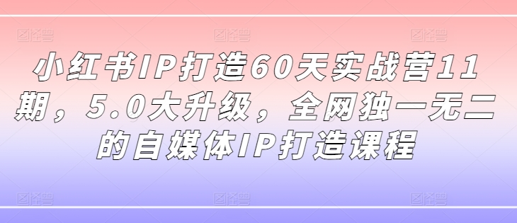 小红书IP打造60天实战营11期，5.0大升级，全网独一无二的自媒体IP打造课程-观智斋电商课程站