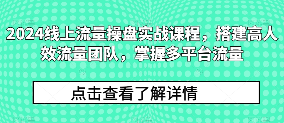 2024线上流量操盘实战课程，搭建高人效流量团队，掌握多平台流量-观智斋电商课程站