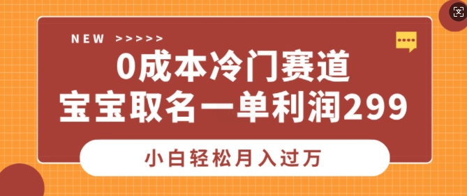 0成本冷门赛道，宝宝取名一单利润299，小白轻松月入过万-观智斋电商课程站