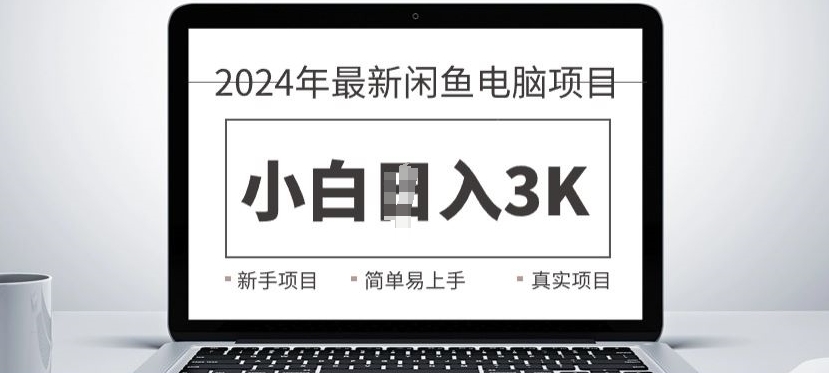 2024最新闲鱼电脑项目，动手就能吃肉的好项目-观智斋电商课程站