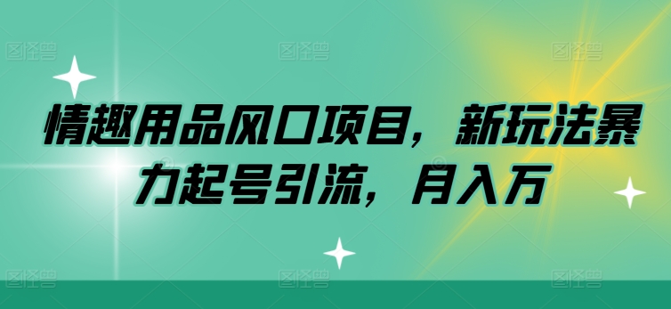 情趣用品风口项目，新玩法暴力起号引流，月入万-观智斋电商课程站