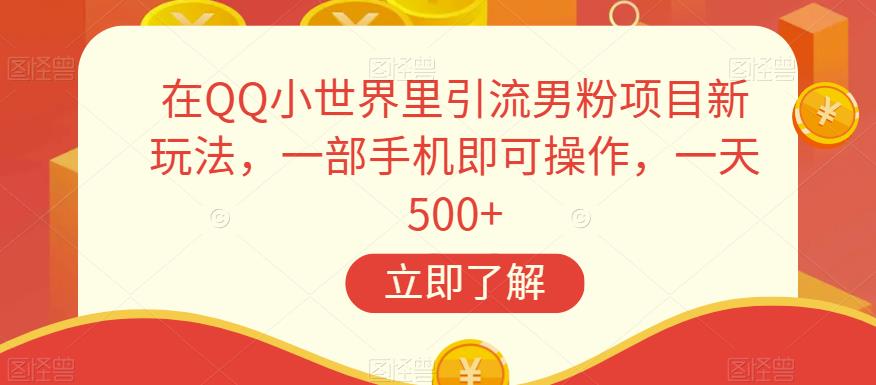 在QQ小世界里引流男粉项目新玩法，一部手机即可操作，一天500+【揭秘】-观智斋电商课程站