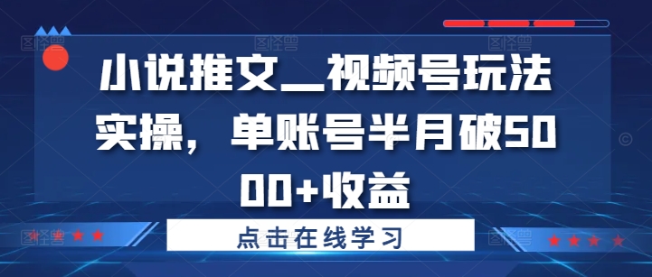 小说推文—视频号玩法实操，单账号半月破5000+收益-观智斋电商课程站