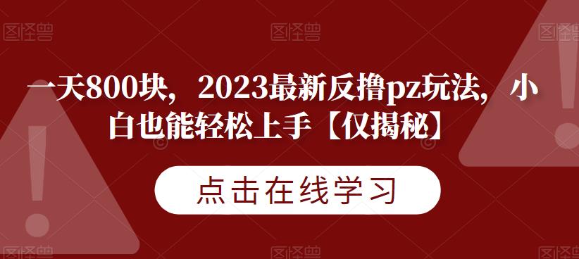 一天800块，2023最新反撸pz玩法，小白也能轻松上手【仅揭秘】-观智斋电商课程站