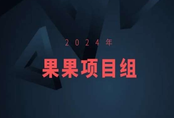 2024年果果项目组项目合集-果果最新项目-观智斋电商课程站