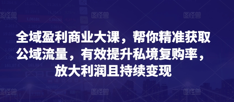 全域盈利商业大课，帮你精准获取公域流量，有效提升私境复购率，放大利润且持续变现-观智斋电商课程站