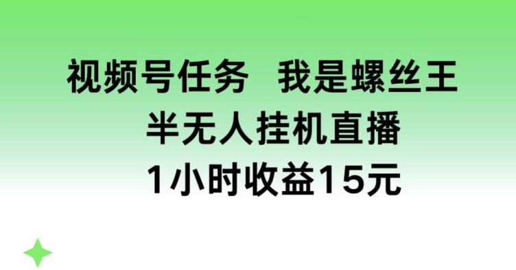 视频号任务，我是螺丝王， 半无人挂JI1小时收益15元【揭秘】-观智斋电商课程站