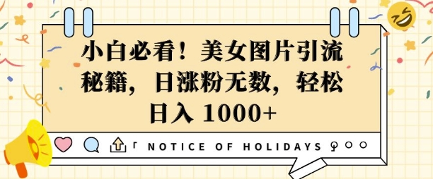 小白必看，美女图片引流秘籍，日涨粉无数，轻松日入几张【揭秘】-观智斋电商课程站
