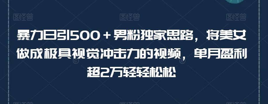 暴力日引500＋男粉独家思路，将美女做成极具视觉冲击力的视频，单月盈利超2万轻轻松松-观智斋电商课程站