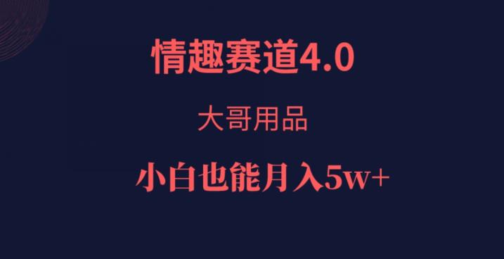 情趣赛道4.0，大哥用品，小白也能月入5w！-观智斋电商课程站