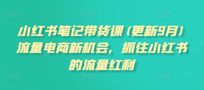 小红书笔记带货课(更新25年1月)流量电商新机会，抓住小红书的流量红利-观智斋电商课程站