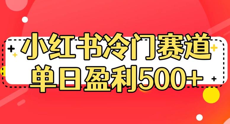 小红书冷门赛道，单日盈利500+【揭秘】-观智斋电商课程站