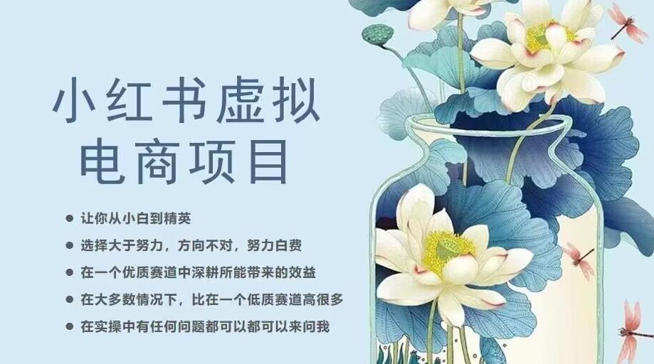 小红书虚拟电商从0到1，让你从小白到精英（20节实操课程）-观智斋电商课程站