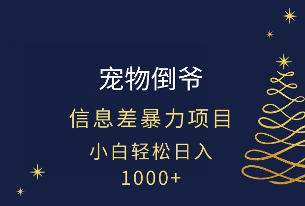 宠物倒爷，暴利的信息差项目，足不出户就有客户，年轻人都喜欢宠物！-观智斋电商课程站