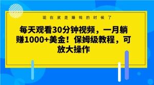 每天观看30分钟视频，一月躺赚1000+美金！保姆级教程，可放大操作【揭秘】-观智斋电商课程站