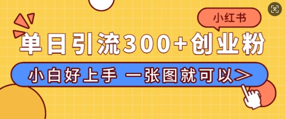 小红书单日引流300+创业粉，“简单粗暴”引流法，小白好上手，私信回不完-观智斋电商课程站