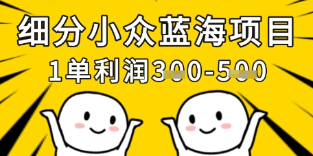 细分小众蓝海项目，一单利润3张，每月收入稳定过1w+-观智斋电商课程站