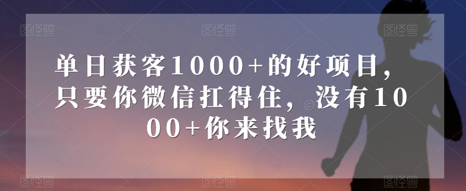 单日获客1000+的好项目，只要你微信扛得住，没有1000+你来找我【揭秘】-观智斋电商课程站