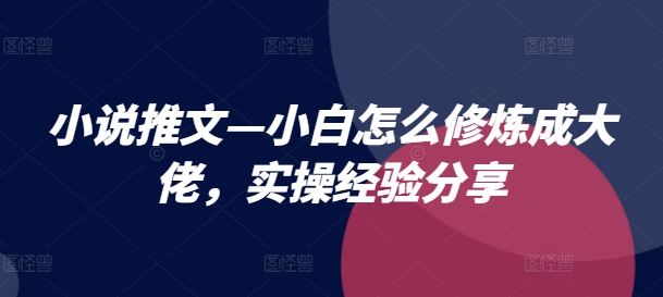 小说推文—小白怎么修炼成大佬，实操经验分享-观智斋电商课程站