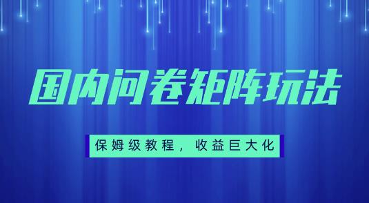保姆级教程，国内问卷矩阵玩法，轻松赚收益-观智斋电商课程站