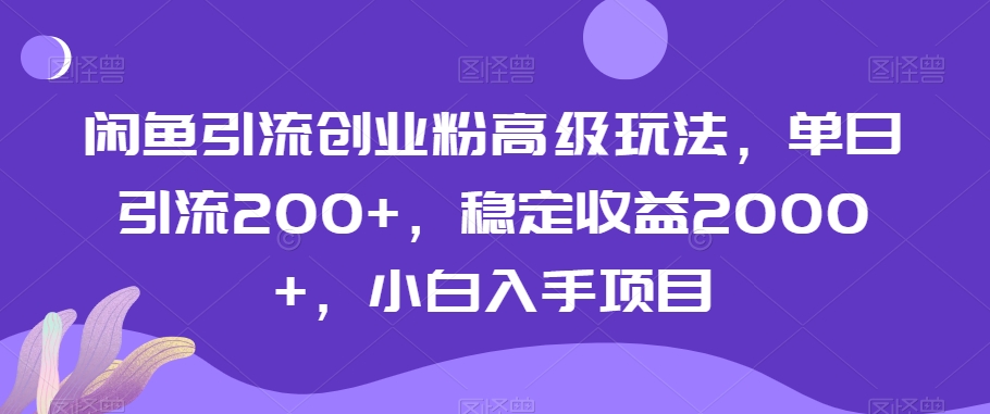 闲鱼引流创业粉高级玩法，单日引流200+，稳定收益2000+，小白入手项目-观智斋电商课程站