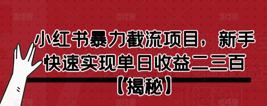 小红书暴力截流项目，新手快速实现单日收益二三百【仅揭秘】-观智斋电商课程站
