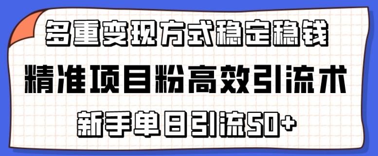 精准项目粉高效引流术，新手单日引流50+，多重变现方式稳定赚钱【揭秘】-观智斋电商课程站