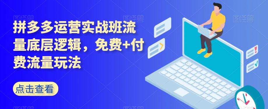 拼多多运营实战班流量底层逻辑，免费+付费流量玩法-观智斋电商课程站